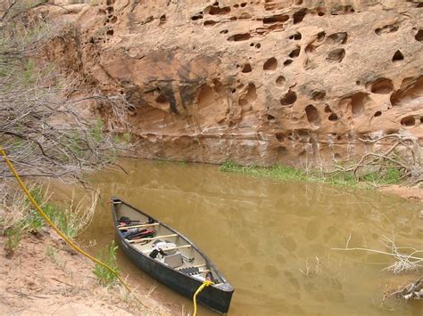 paddle moab reviews|moab rafting and canoe company.